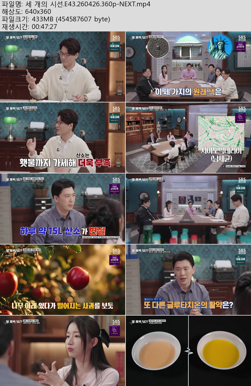 세 개의 시선.E43.260426.360p-NEXT