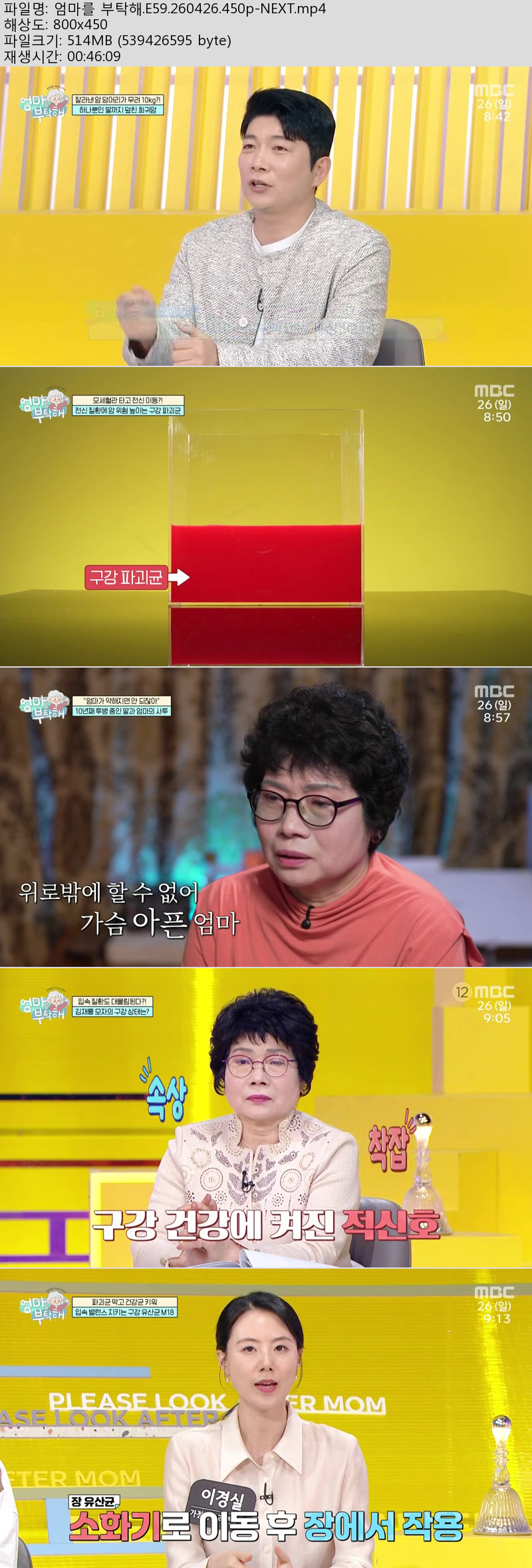 엄마를 부탁해.E59.260426.450p-NEXT