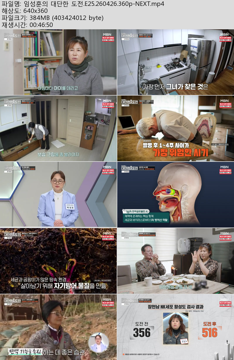 임성훈의 대단한 도전.E25.260426.360p-NEXT