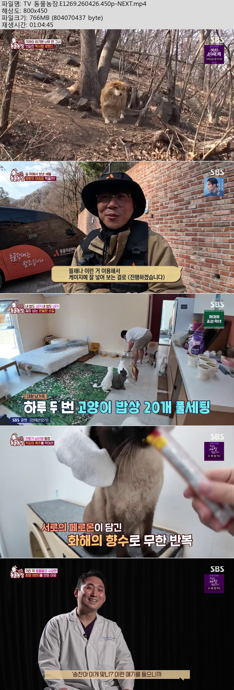 TV 동물농장.E1269.260426.450p-NEXT