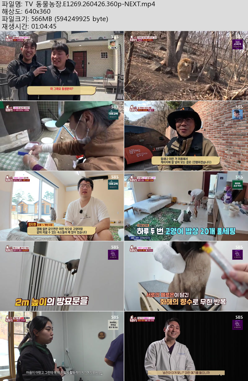 TV 동물농장.E1269.260426.360p-NEXT