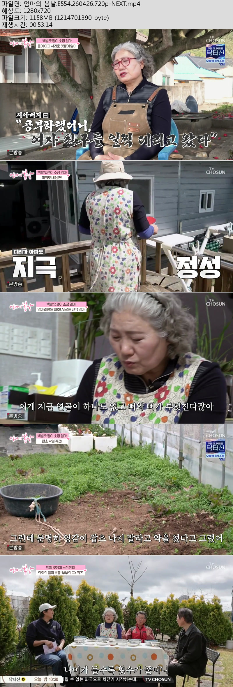 엄마의 봄날.E554.260426.720p-NEXT