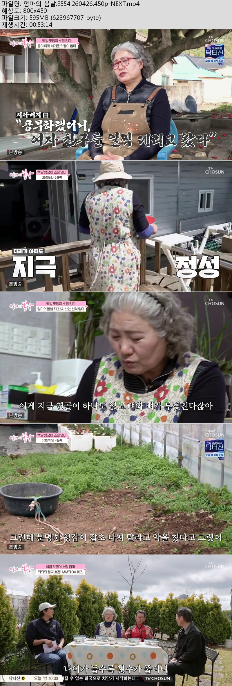 엄마의 봄날.E554.260426.450p-NEXT