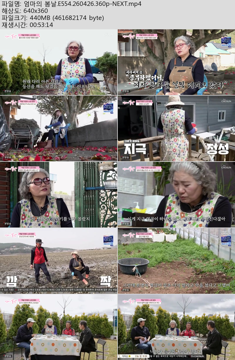 엄마의 봄날.E554.260426.360p-NEXT