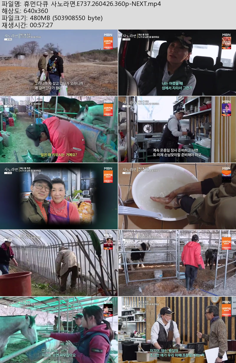 휴먼다큐 사노라면.E737.260426.360p-NEXT