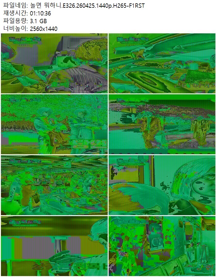 놀면 뭐하니.E326.260425.1440p.H265