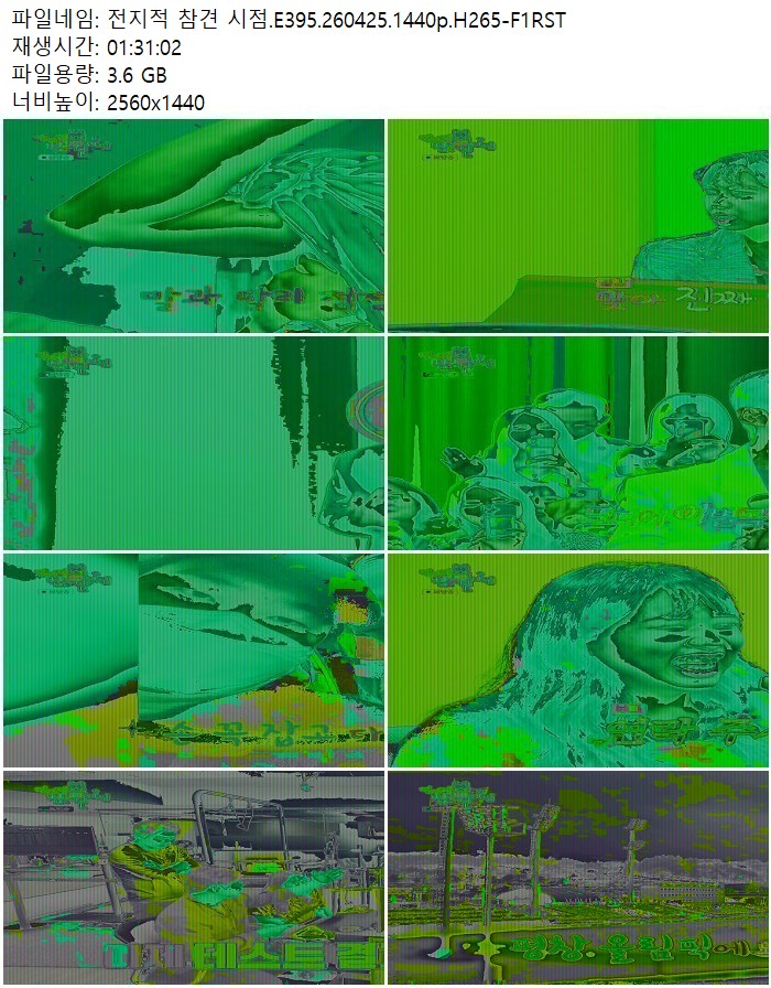 전지적 참견 시점.E395.260425.1440p.H265