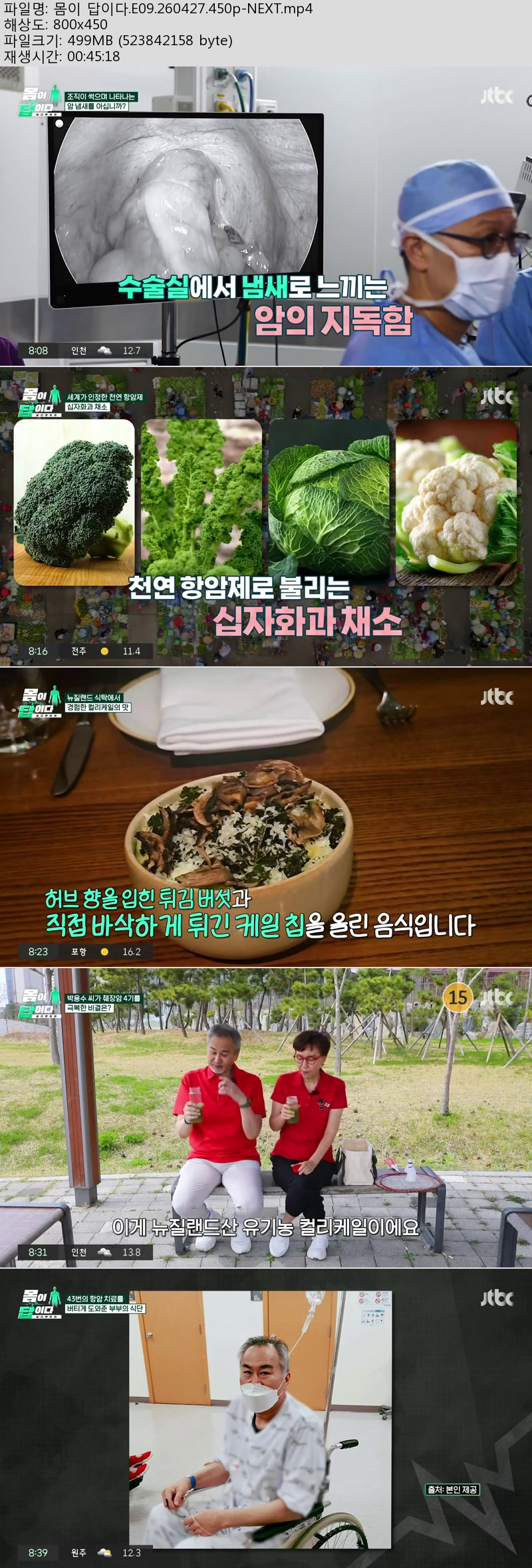 몸이 답이다.E09.260427.450p-NEXT