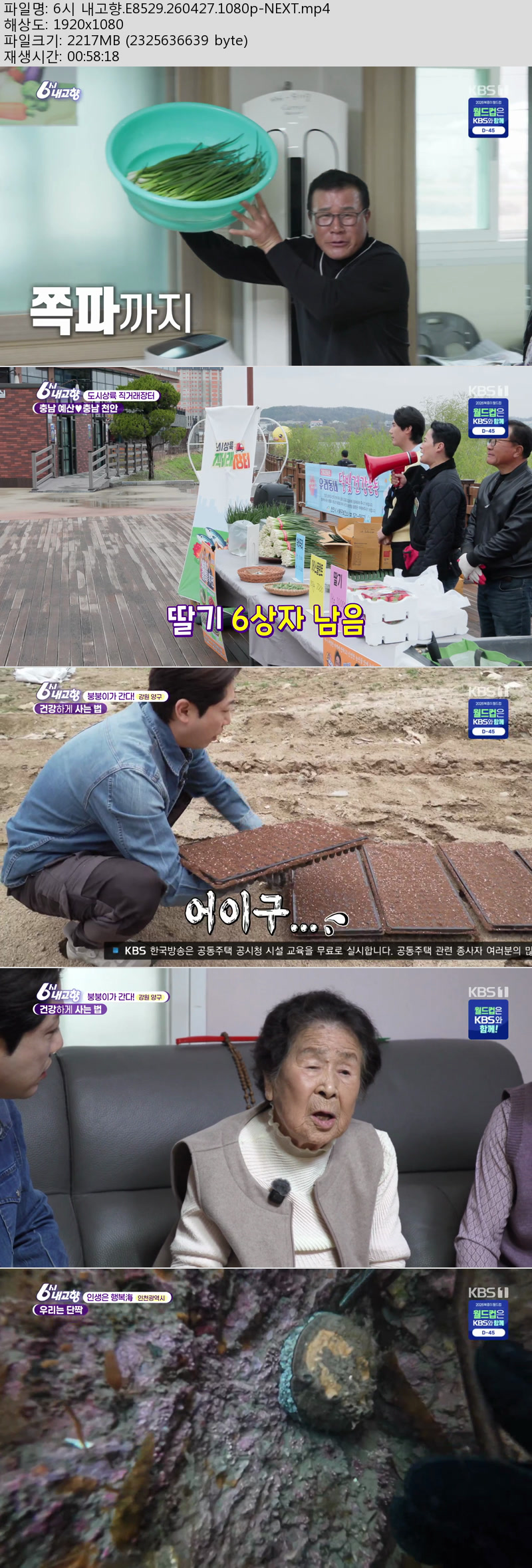 6시 내고향.E8529.260427.1080p-NEXT