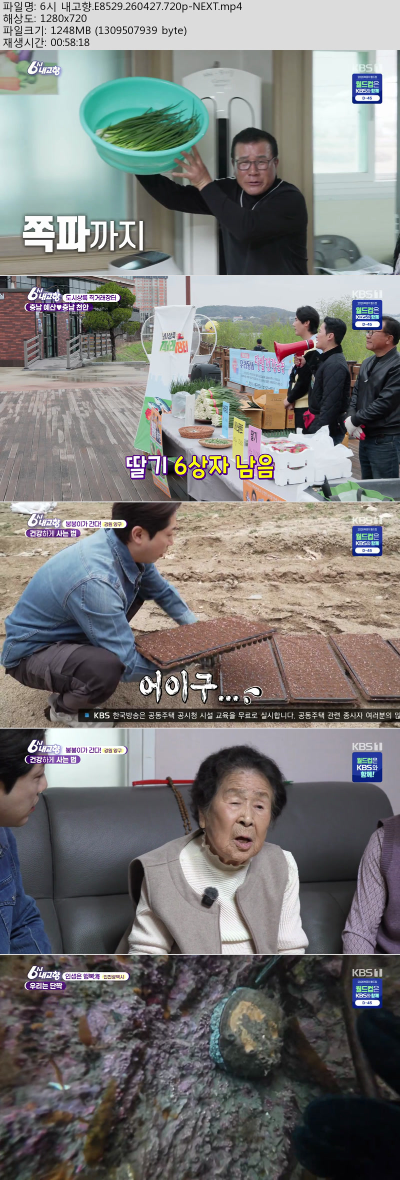 6시 내고향.E8529.260427.720p-NEXT