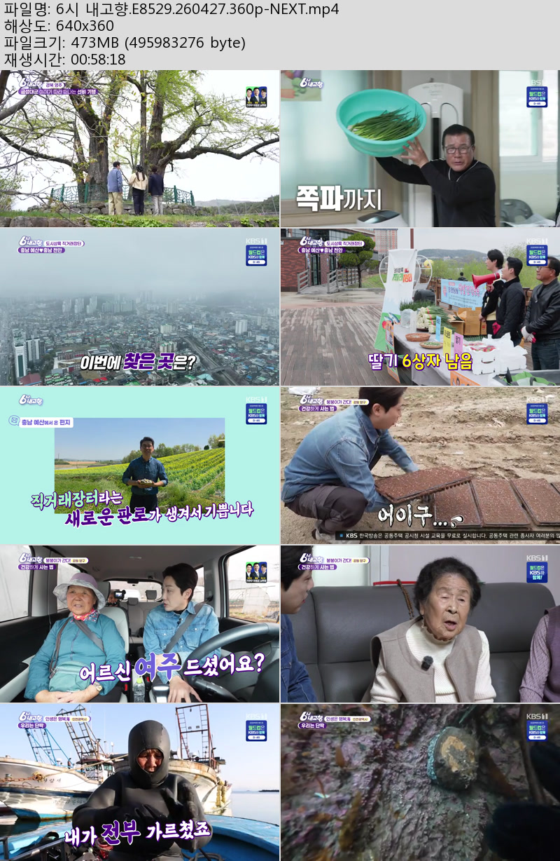 6시 내고향.E8529.260427.360p-NEXT