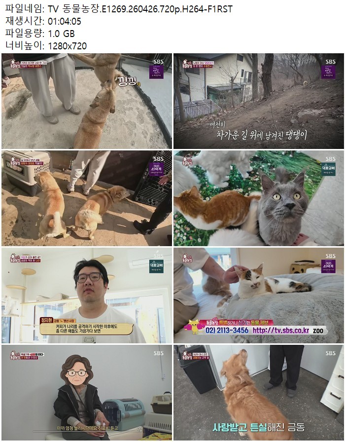 TV 동물농장.E1269.260426.720p.H264