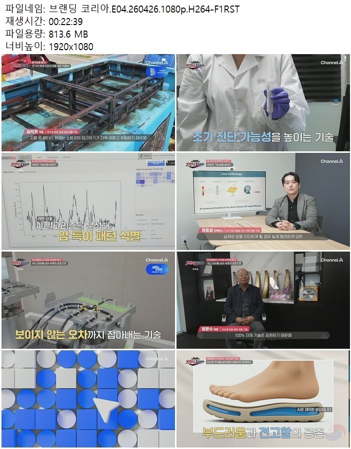 브랜딩 코리아.E04.260426.1080p.H264
