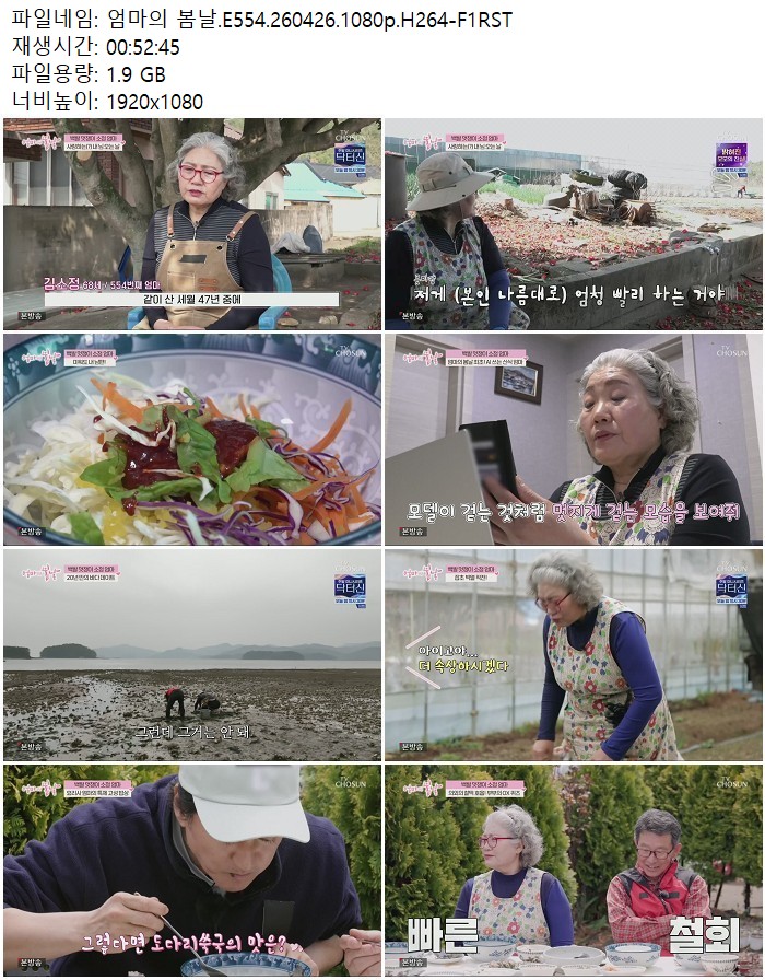 엄마의 봄날.E554.260426.1080p.H264