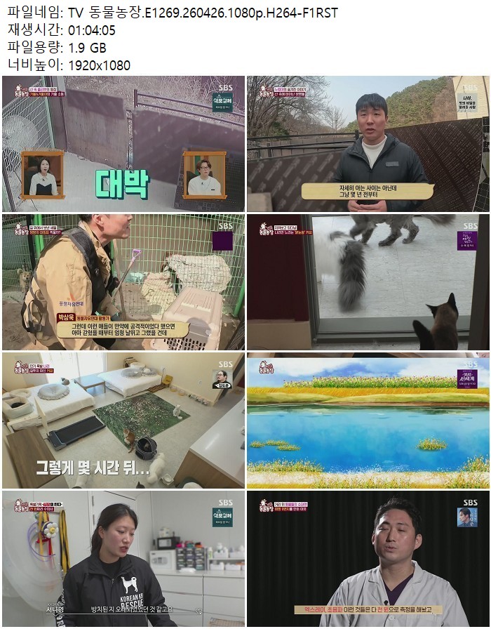 TV 동물농장.E1269.260426.1080p.H264