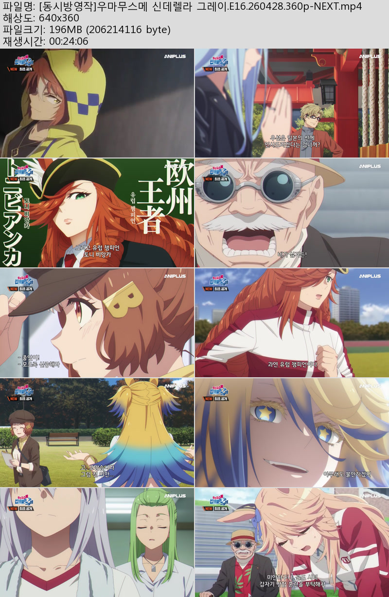 [동시방영작]우마무스메 신데렐라 그레이.E16.260428.360p-NEXT