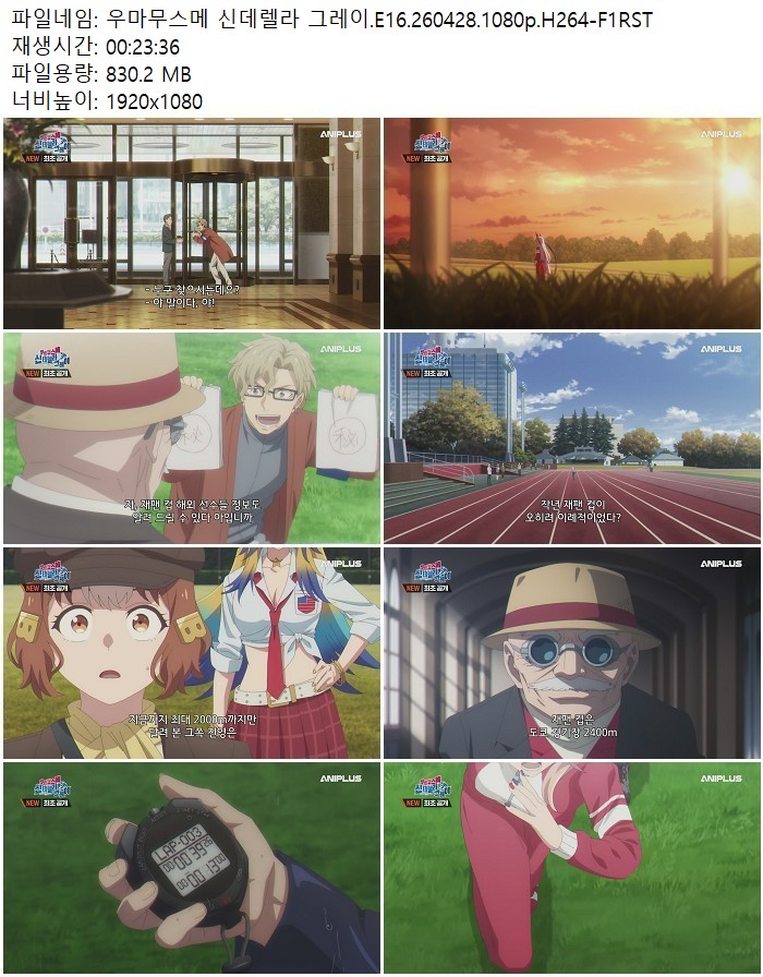 우마무스메 신데렐라 그레이.E16.260428.1080p.H264