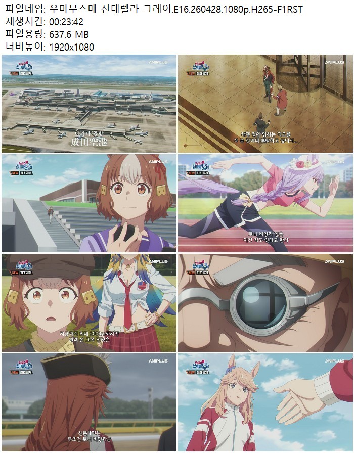 우마무스메 신데렐라 그레이.E16.260428.1080p.H265