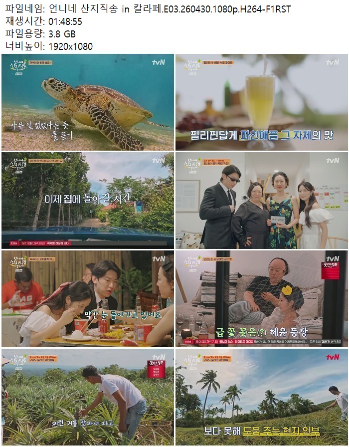 언니네 산지직송 in 칼라페.E03.260430.1080p.H264