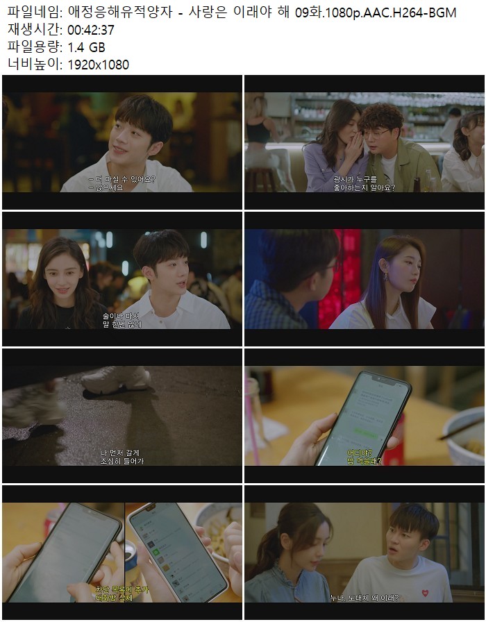 애정응해유적양자 - 사랑은 이래야 해 09화.1080p.AAC.H264-BGM