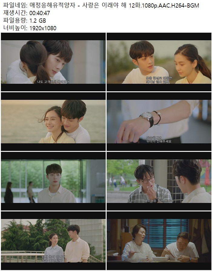 애정응해유적양자 - 사랑은 이래야 해 12화.1080p.AAC.H264-BGM