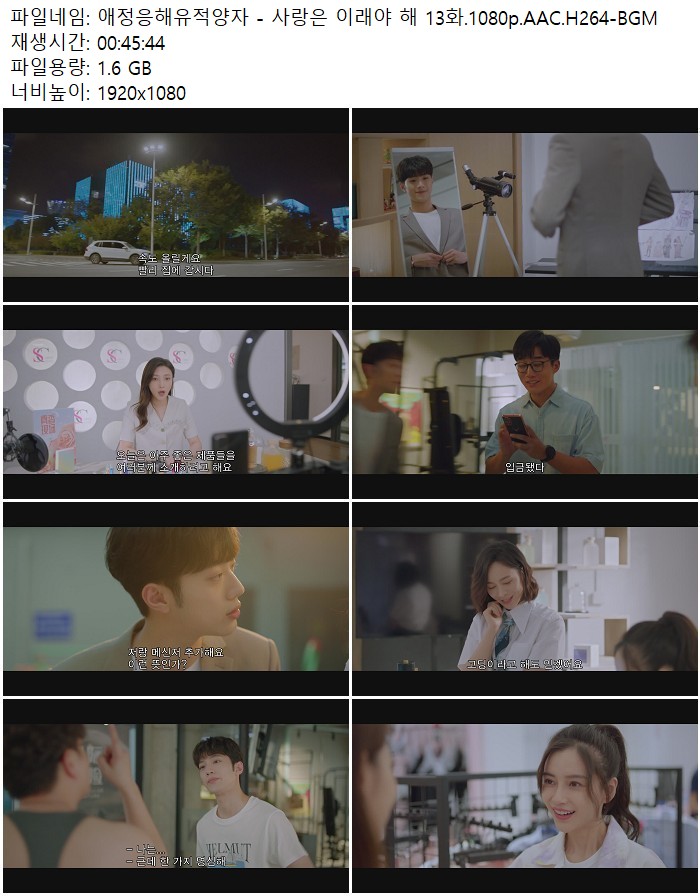 애정응해유적양자 - 사랑은 이래야 해 13화.1080p.AAC.H264-BGM