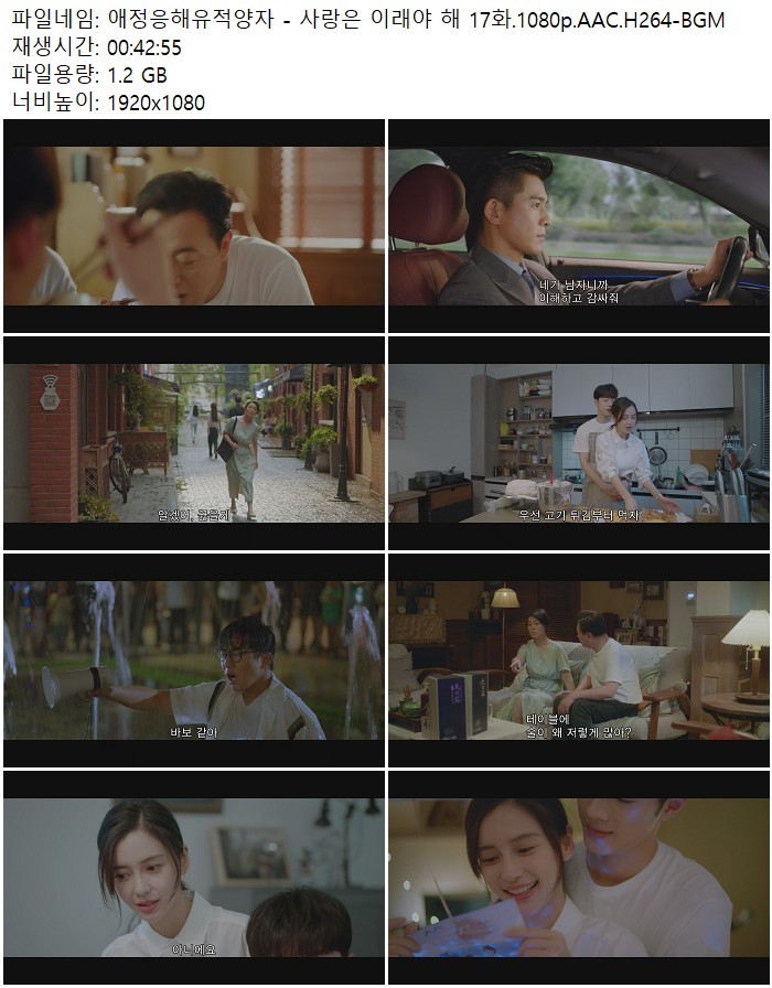 애정응해유적양자 - 사랑은 이래야 해 17화.1080p.AAC.H264-BGM
