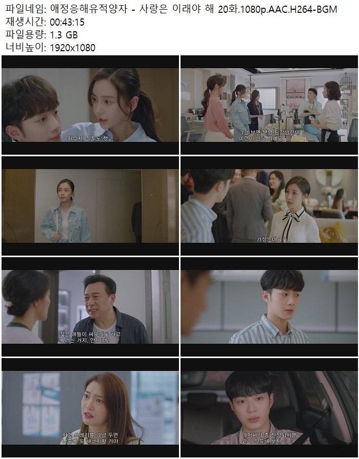 애정응해유적양자 - 사랑은 이래야 해 20화.1080p.AAC.H264-BGM