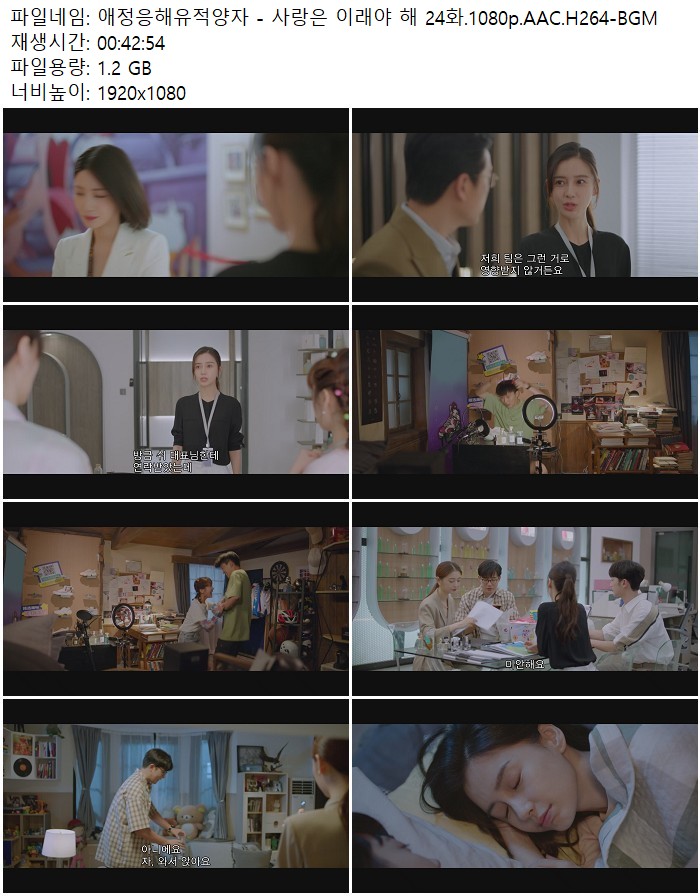애정응해유적양자 - 사랑은 이래야 해 24화.1080p.AAC.H264-BGM