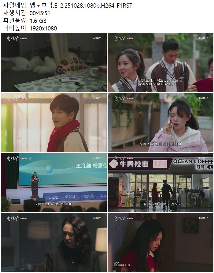 앵도호박.E12.251028.1080p.H264
