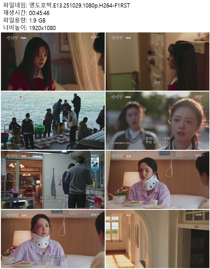 앵도호박.E13.251029.1080p.H264