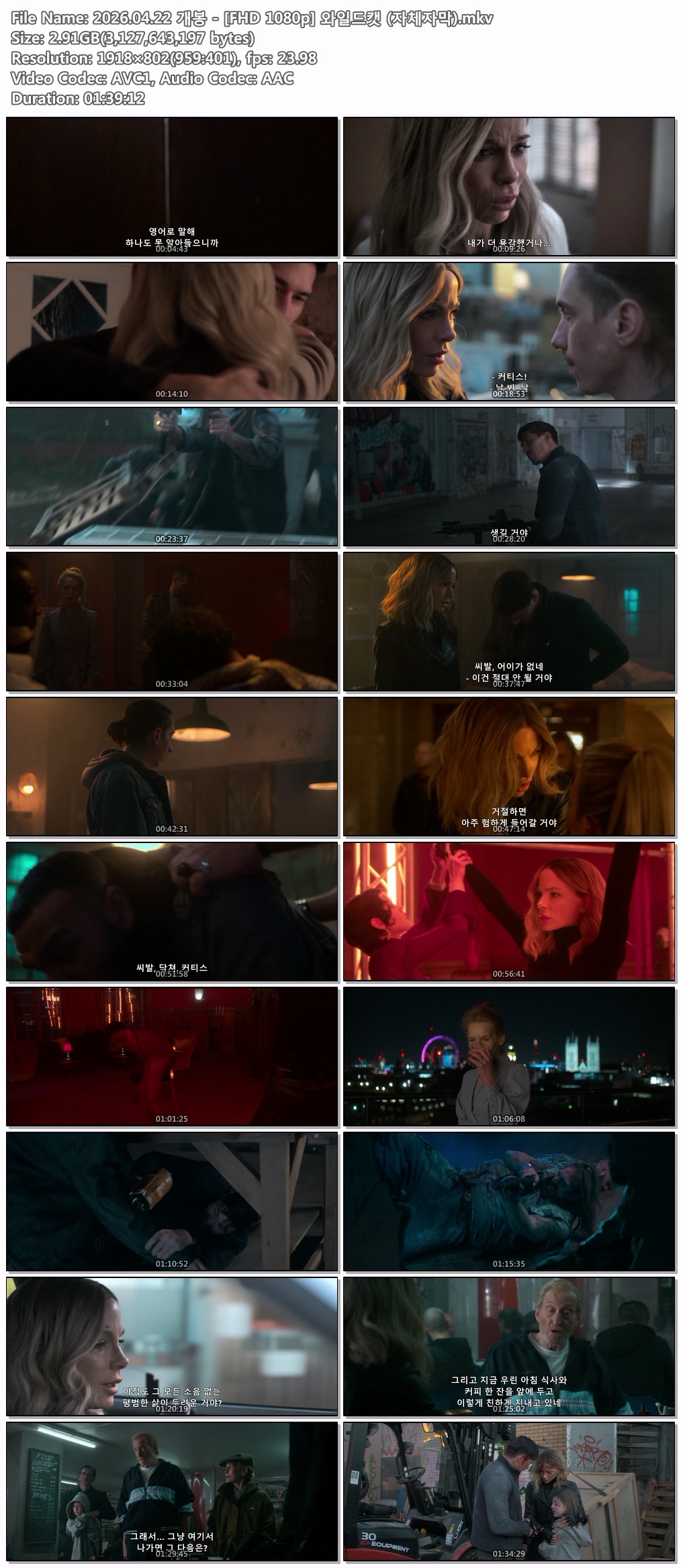 2026.04.22 개봉 - [FHD 1080p] 와일드캣 (자체자막)