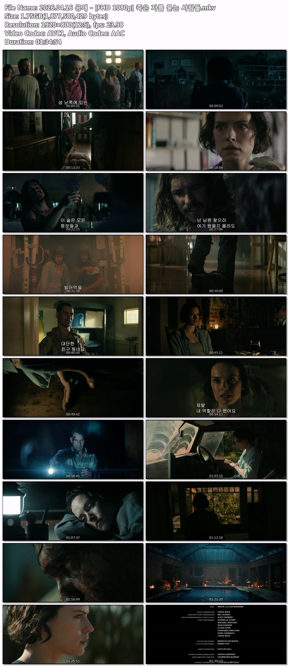 2026.04.16 공개 - [FHD 1080p] 죽은 자를 묻는 사람들