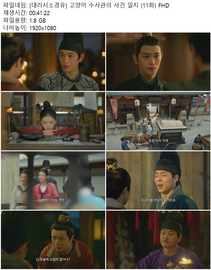 [대리시소경유] 고양이 수사관의 사건 일지 (11화) FHD