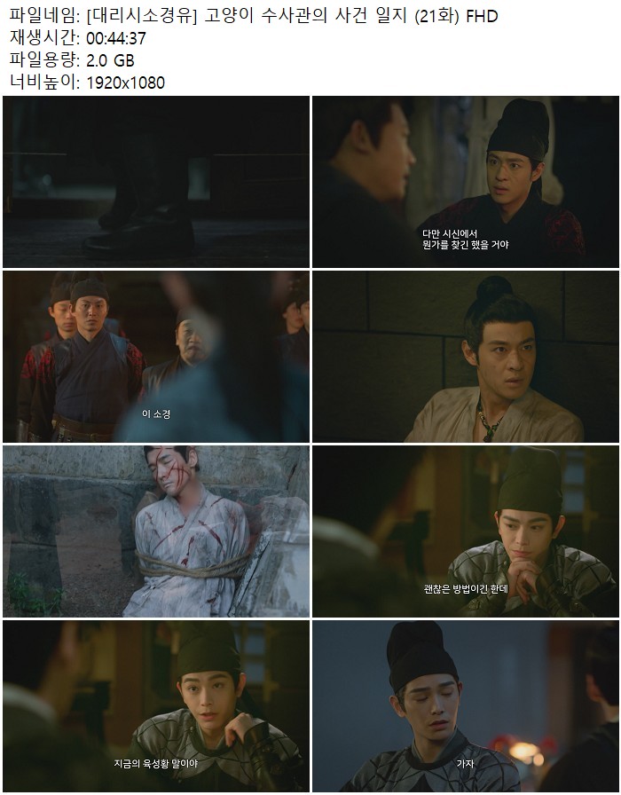 [대리시소경유] 고양이 수사관의 사건 일지 (21화) FHD