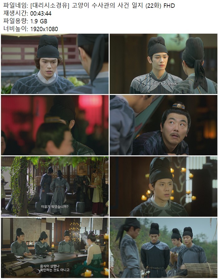 [대리시소경유] 고양이 수사관의 사건 일지 (22화) FHD