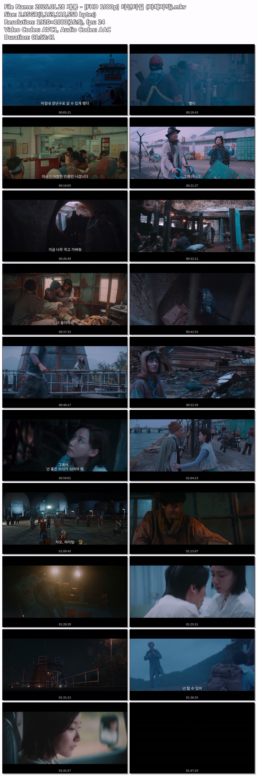 2026.01.28 개봉 - [FHD 1080p] 타년타일 (자체자막)