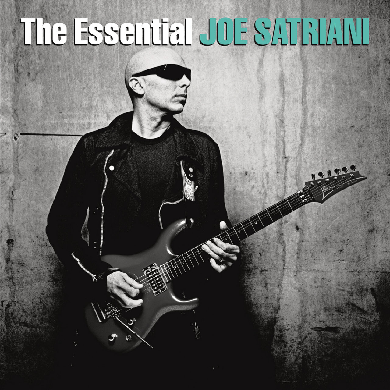 Joe Satriani [2010 The Essential Joe Satriani] (FLAC)