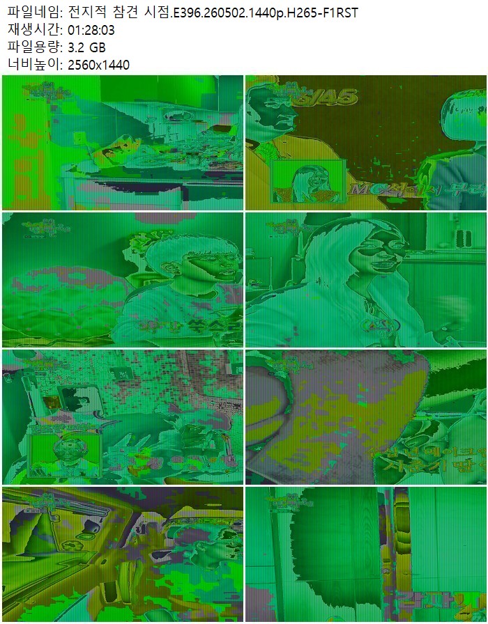 전지적 참견 시점.E396.260502.1440p.H265