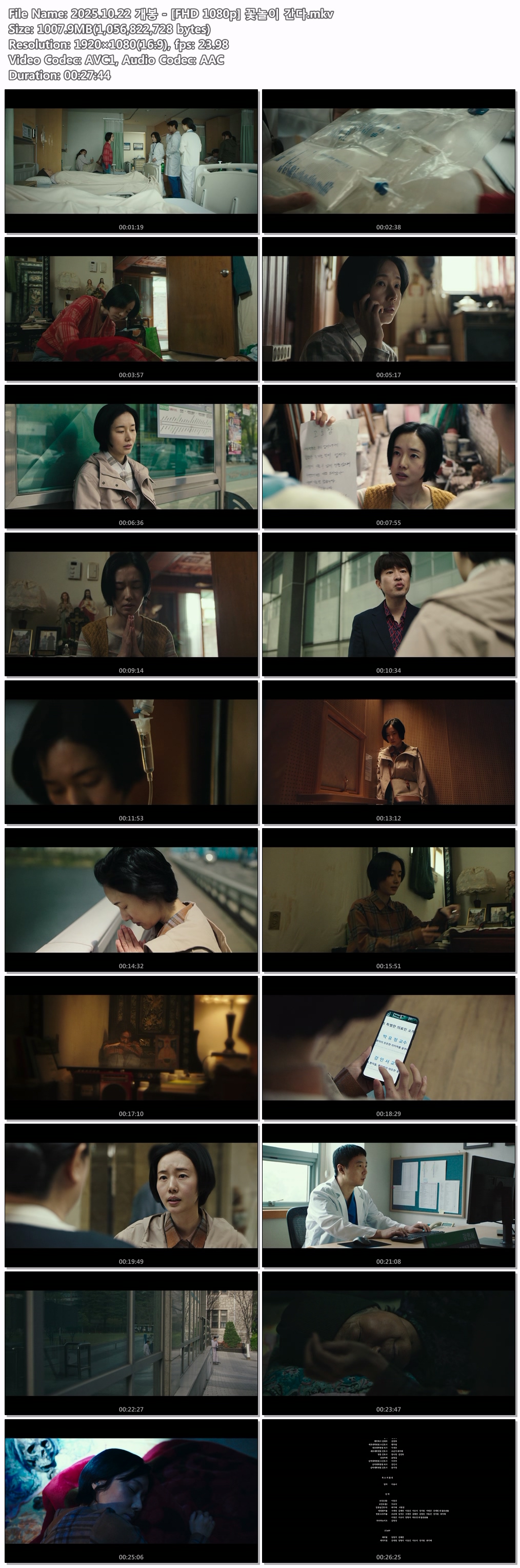 2025.10.22 개봉 - [FHD 1080p] 꽃놀이 간다