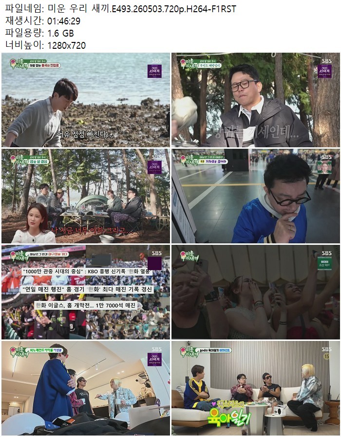 미운 우리 새끼.E493.260503.720p.H264