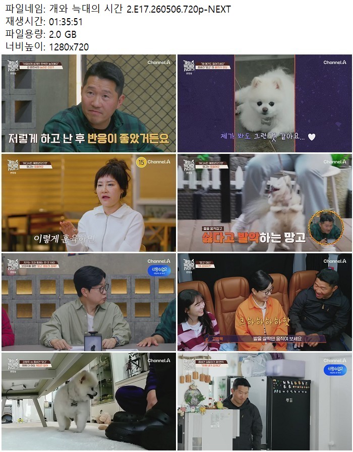 개와 늑대의 시간 2.E17.260506.720p-NEXT
