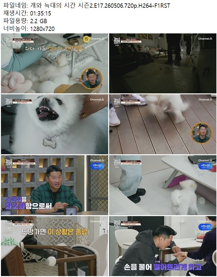 개와 늑대의 시간 시즌2.E17.260506.720p.H264