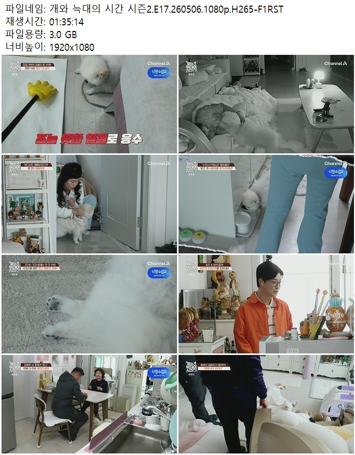 개와 늑대의 시간 시즌2.E17.260506.1080p.H265