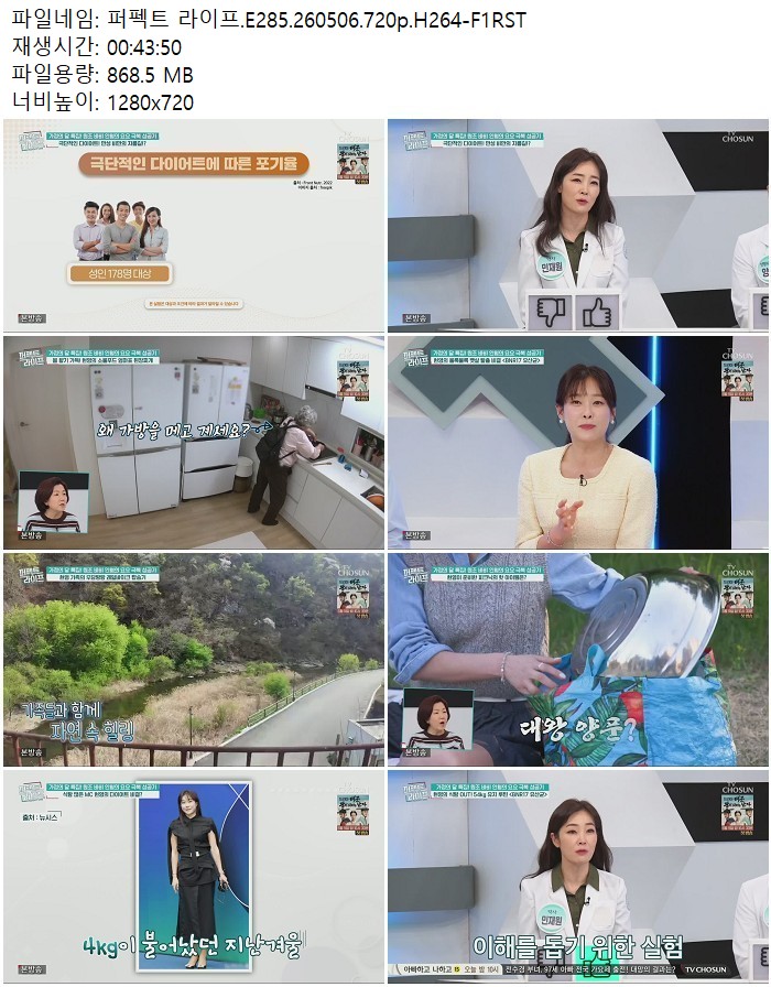 퍼펙트 라이프.E285.260506.720p.H264