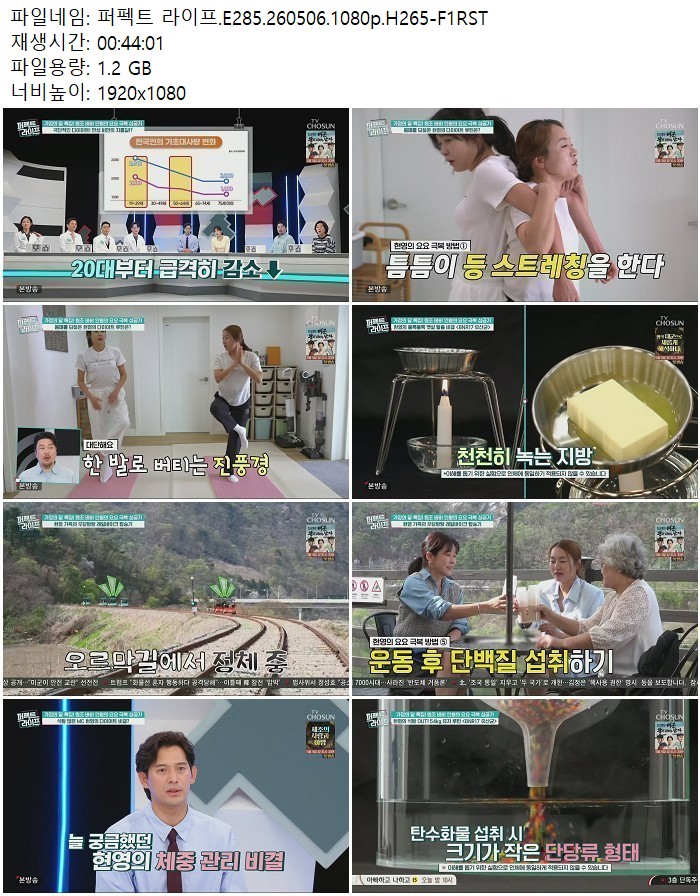 퍼펙트 라이프.E285.260506.1080p.H265
