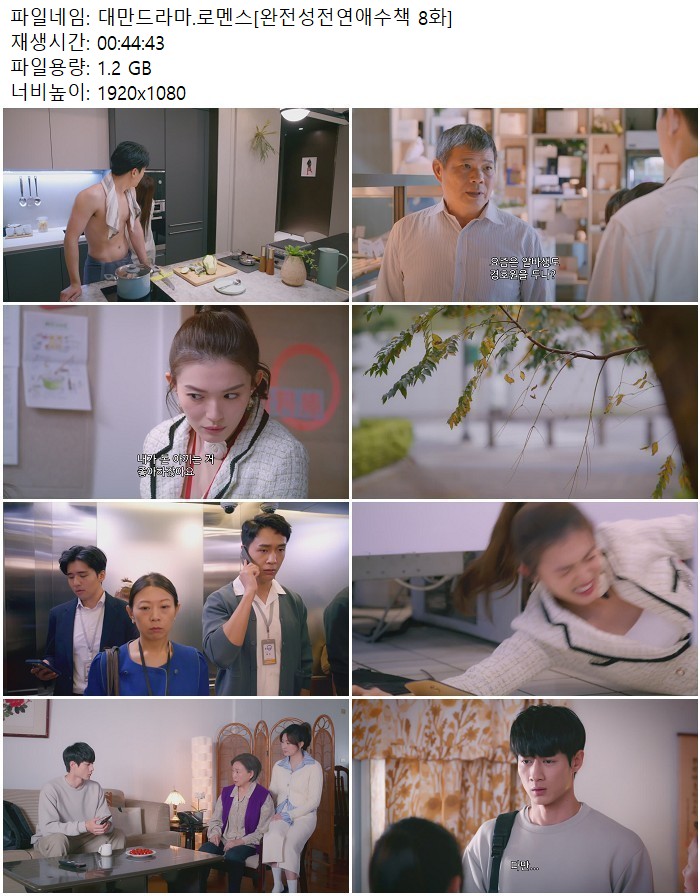 대만드라마.로멘스[완전성전연애수책 8화]