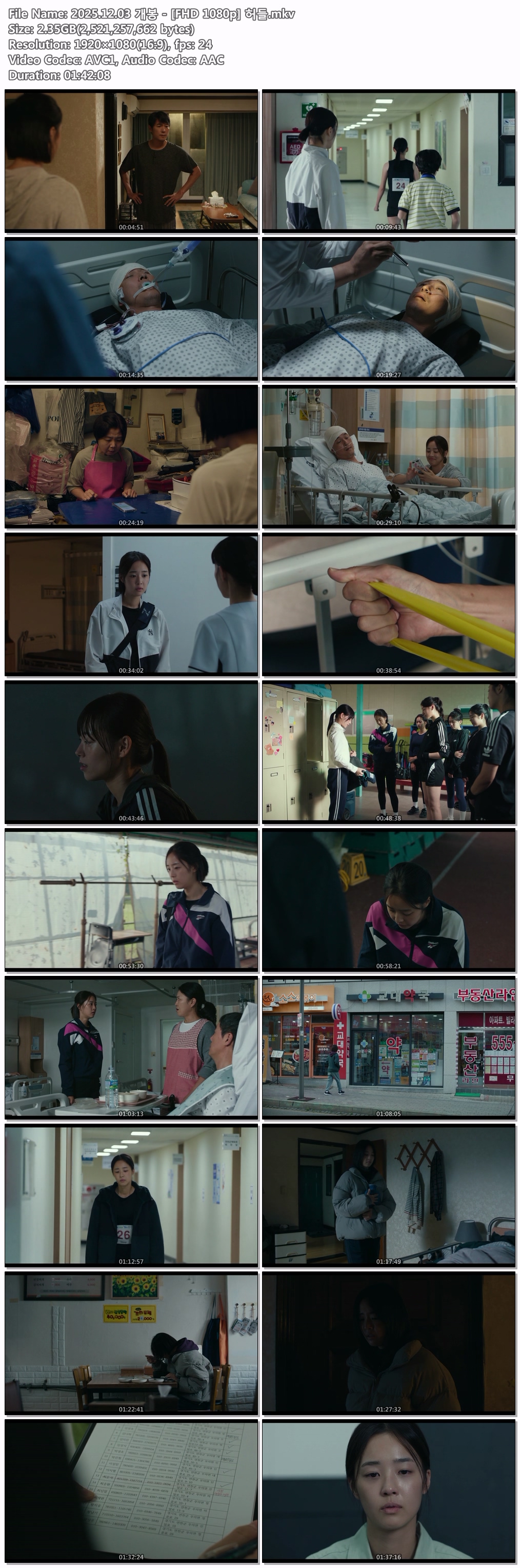 2025.12.03 개봉 - [FHD 1080p] 허들