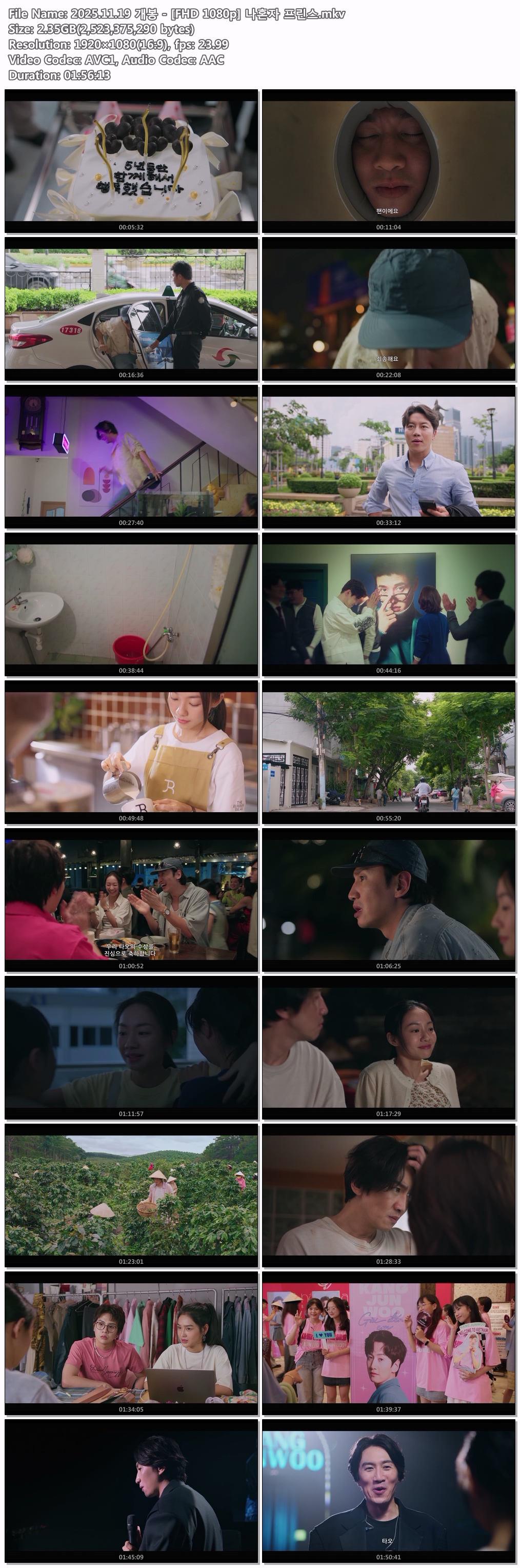 2025.11.19 개봉 - [FHD 1080p] 나혼자 프린스