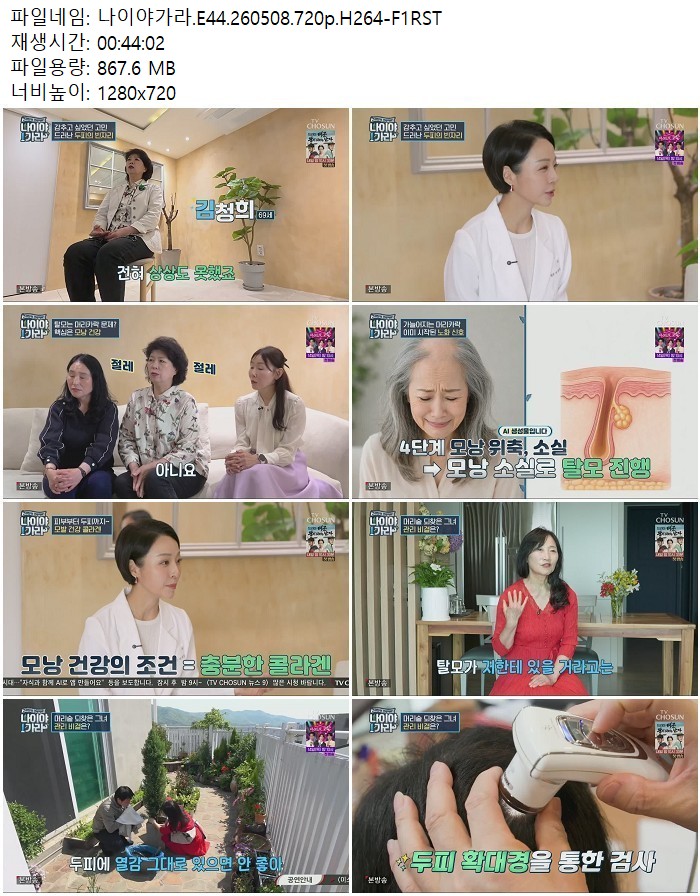 나이야가라.E44.260508.720p.H264